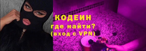 прущая мука Арсеньев