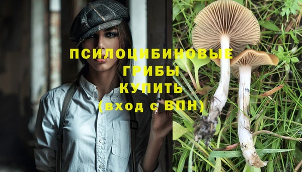 герыч Аркадак